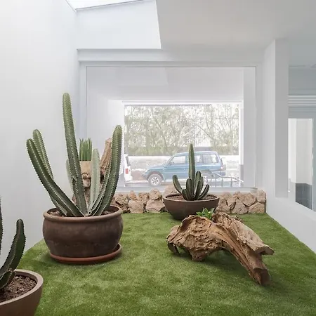 Afortunadas - Playa 1ºc Апартаменты Аринага